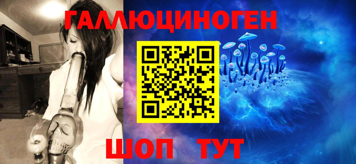 Тула  Псилоцибиновые грибы мицелий  Вход с VPN  Галлюциногенные грибы GOLDEN TEACHER 